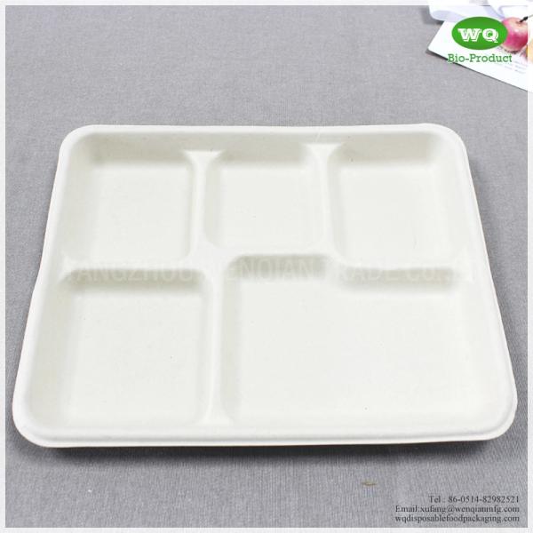100% Biodegradable Sugarcane Pulp 5 Compartments Tray-High quality Biodegradable food tray For birthday parties