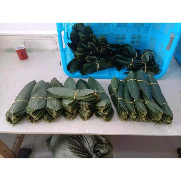 Vacuum-Packed Sushi Fresh Bamboo Hoba Leaf Leaves