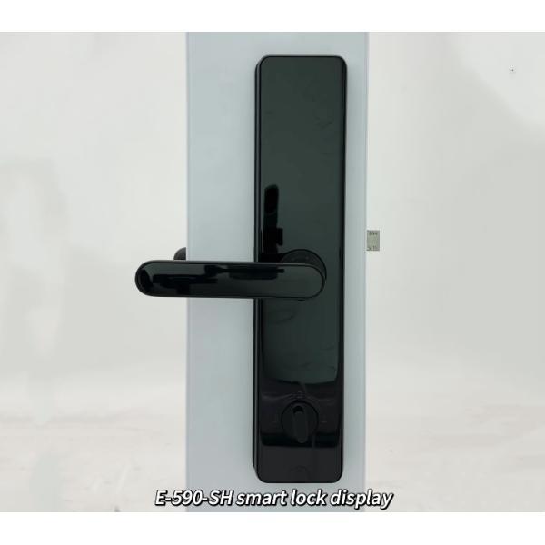 ELA Waterproof Outdoor Anti Theft Electronics Push Lock Smart Fingerprint Digital Safe Door Lock For Home Smart DoorLock