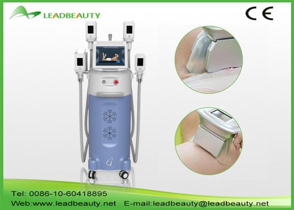 CE / FDA approved 5 treatment handles 12 inch screen cool tech fat freezing cryolipolysis slimming machine