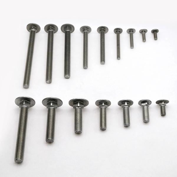 Stainless steel carriage screws customized