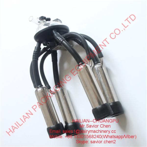 la machine à traire 240CC partie la vache trayant le groupe blanc et noir