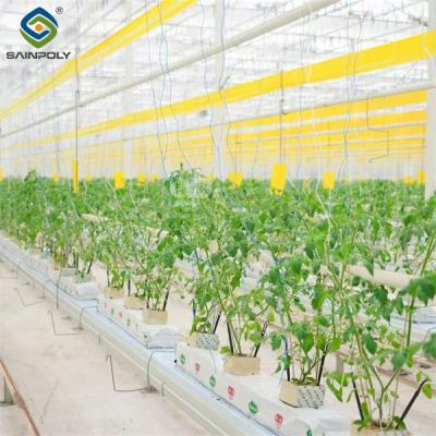 Galvanized Frame Single Span Tunnel Greenhouse Plastic Shed For  Vegetables