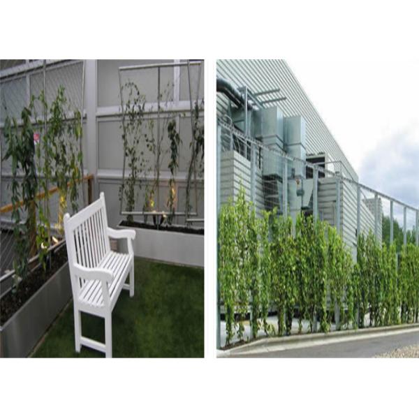 Размер открытия 50 мм*50 мм SS304 Нержавеющая сталь веревка сетка Зеленая стена Для украшения сада