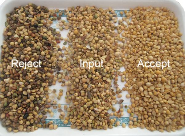 Automatic CCD RGB Bean Color Sorter