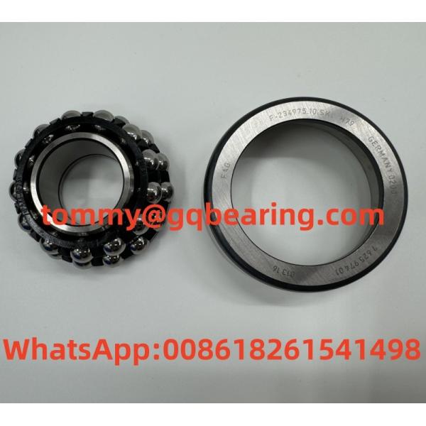 Chrome Steel Differential Automotive Bearings FAG F-234975.10.SKL-H79 792597401