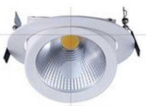 20W high lumens Warm White trunk lamp Of Long Lifespan Led Trunk Light www dlights com