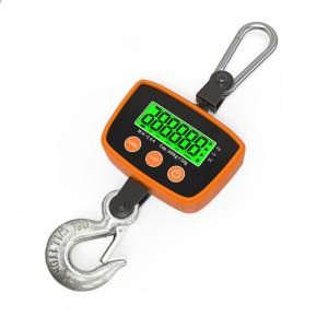 WH-C04 500KG Balance de grue numérique Weiheng Balance électronique portable à