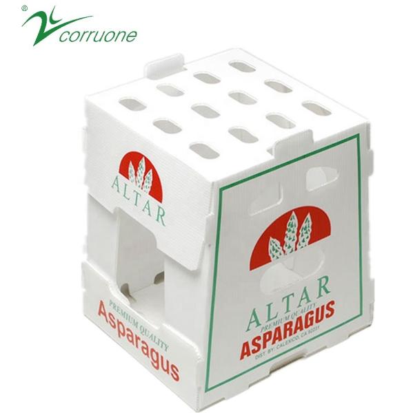 Asparagus Corrugated Plastic Produce Boxes Food Grade Black White