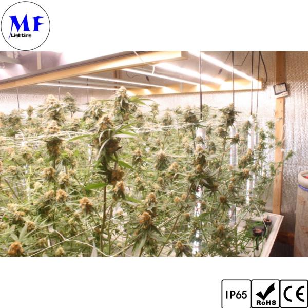 Full Spectrum IP65 LED Grow Light Waterproof High Efficiency Grow Plant Bar Lamp 250W-1000W