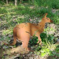 Le jardin Rouille-résistant en métal ornemente pour l'acier de Corten de décoration de jardin