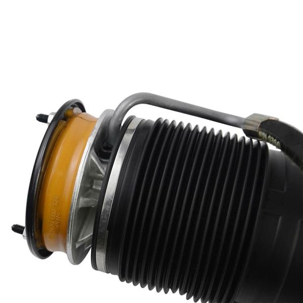 Rear ABC Oil-filled Hydraulic Shock for Mercedes CL/S Class W221 W216 With Active Body Control 2213200413 2213206413 2213208713