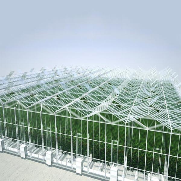 Système solaire monté par toit de serre chaude pour des terres cultivables