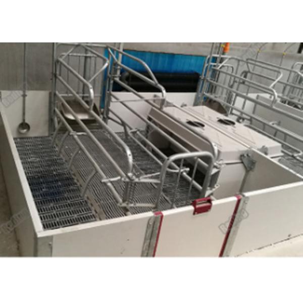 baby pig used nursery weaning crate weaning fence for piglets