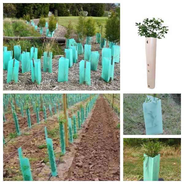 Corflute Tree Guard for Seedling Protection, Eco-Friendly Breathable Plant Protector, Durable Lightweight Weather-Resistant Tree Shelter for Healthy Growth and Pest Protection