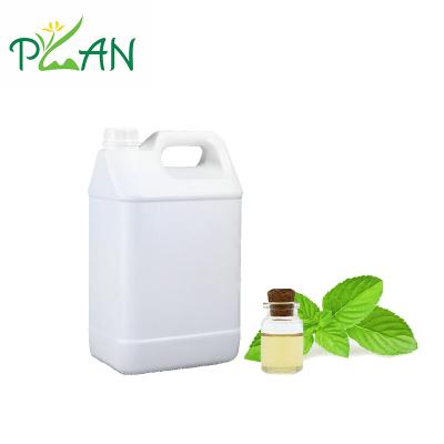 Eco-friendly Mint Fragrances Oil Light Peppermint Scent Essence Oils