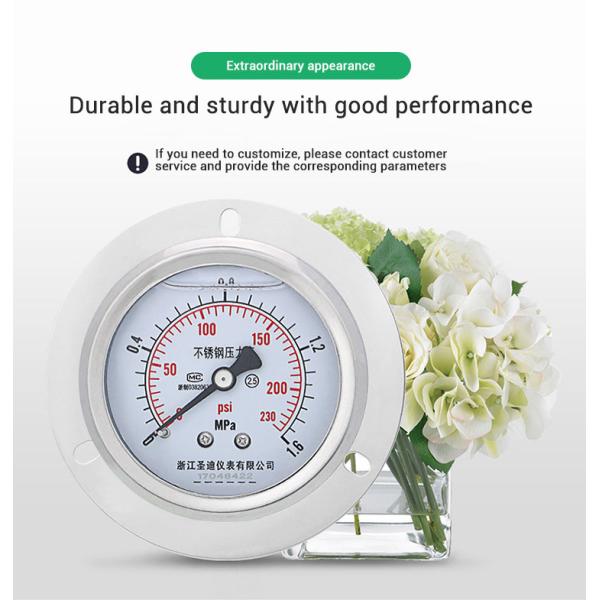 60mm Back Connection Pressure Gauge with Flange 250bar 304ss Liquid-Filled Manometer