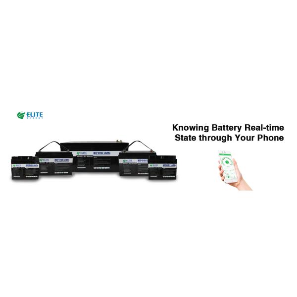 Водоустойчивая батарея IP65 20Ah BMS 24V LiFePO4 для кораблей Elecrtic