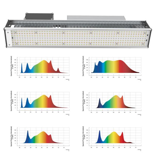 Durable 240W Horiticulture LED Toplighting Grow Light Greenhouse Grow Lamps