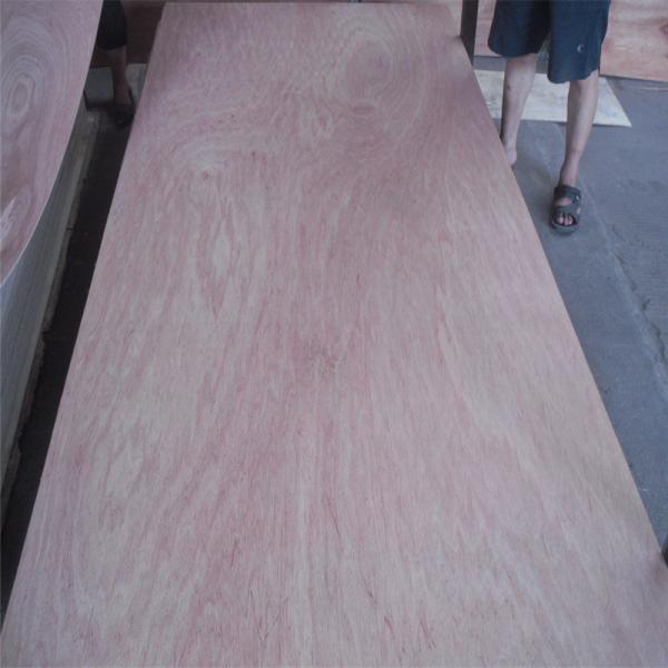 Furniture Poplar 1250×2500mm Bintangor Plywood