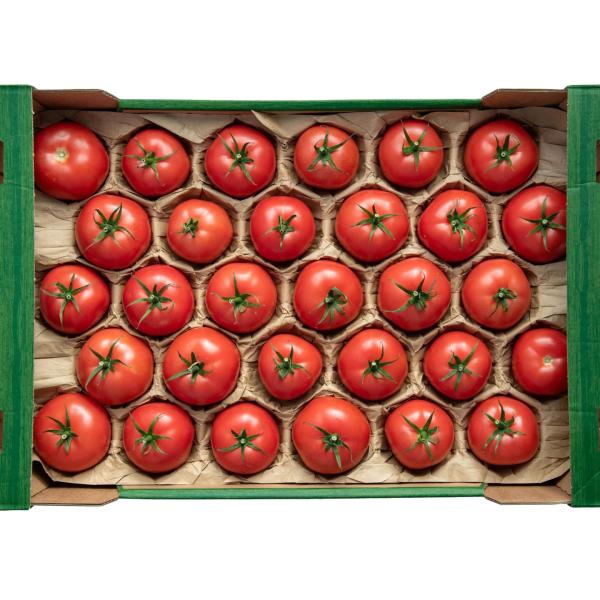 Round Fruits Cavity Moulded Paper  Packaging Tray Liner for Apple Orange Avocado