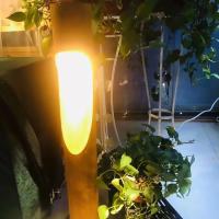 Les lampes de jardin à LED en acier Corten créent une ambiance conviviale