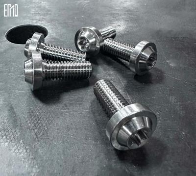 INCA Titanium Alloy Screws Ten Pieces MOC For Breakout / Softail Series（For Rear Disc）