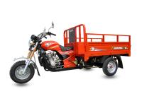 Motocicleta aberta vermelha da carga da roda do corpo 3, triciclo adulto 150ZH-H da carga