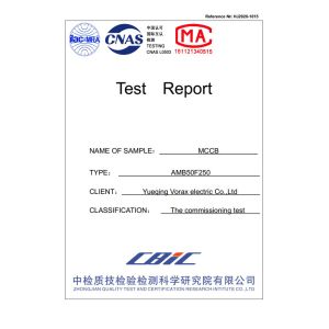 Yueqing Vorax Electric CO.,LTD Сертификации