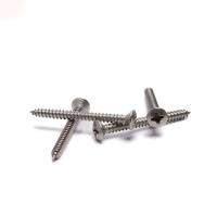 Vis de tapement fraisées augmentées Phillips Self Tapping Screw de la tête DIN7983 enfoncées par croix