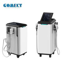 Corps de technologie de Cryotherapy amincissant la machine pour la réduction d'adipocyte de liposuccion