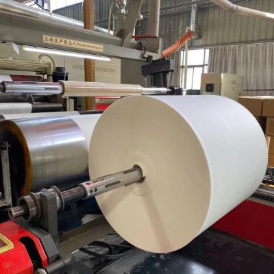 O PE revestiu a largura da especificação de matéria prima 550mm-1200mm do copo de papel