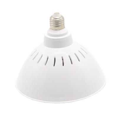 RGB Multicolor AC230V 35W Pentair Hayward Light Fixture