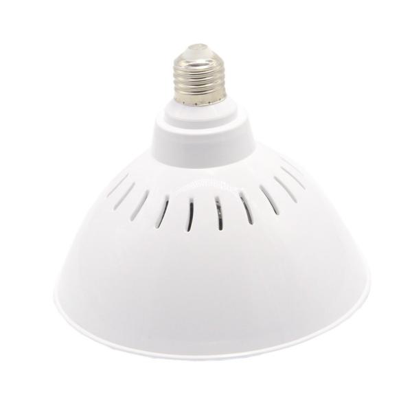 RGB Multicolor AC230V 35W Pentair Hayward Light Fixture