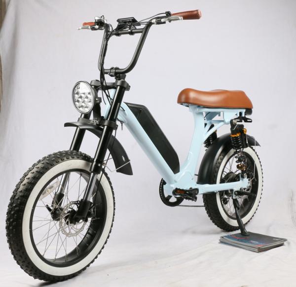48V 500W 2022 Electric Fat Tire Bike, new design, fat tire, powerful 8 fun motor, both suspension