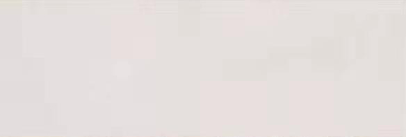 Apartment Interior Decorative Ceramic Tile 300X900mm Good Permeability