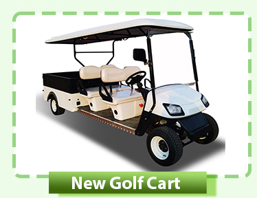 Улица электрических тележек гольфа Сеатер ЛСВ ОДМ 4 законная с всеми автошинами местности