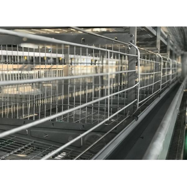 High Efficiency Automatic Chicken Waterer System / Broiler Automatic Drinker