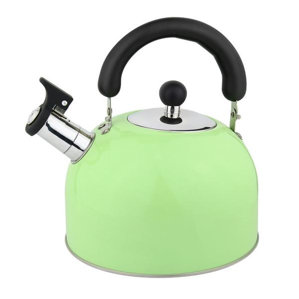 Household stainless steel electric OEM tea pot hot water whistling kettle