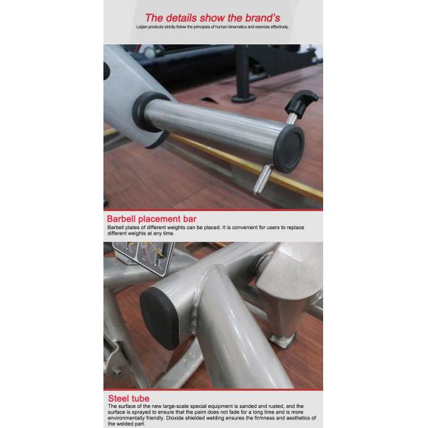 Tricep Dip Commercial Grade Gym Equipment Molding Frame Seated Dip Exercise Machine