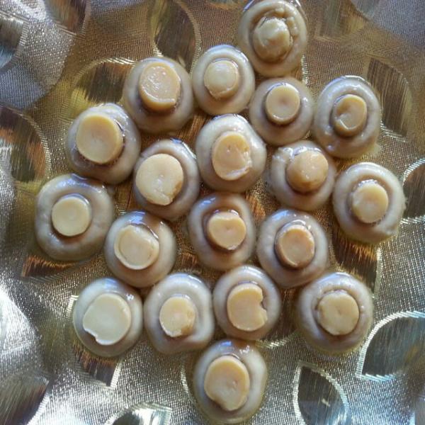 Brine Preservation Seasoned Canned Champignon Mushroom For Bakery / Supermarket