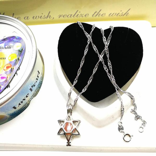 Wish Love Pearl Necklace Gift Set with Cage Pendant & Canned Freshwater Pearl DIY Fashion Jewelry