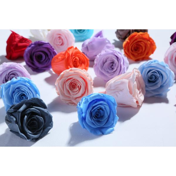 Factory wholesale real touch high quality multi color natural preserved roses at cheap price Christmas gift