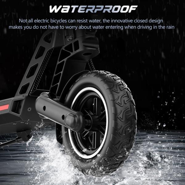G2 PRO Adult Scooters 800W Foldable Design and Standard Voltage AC110-240V/50-60 HZ