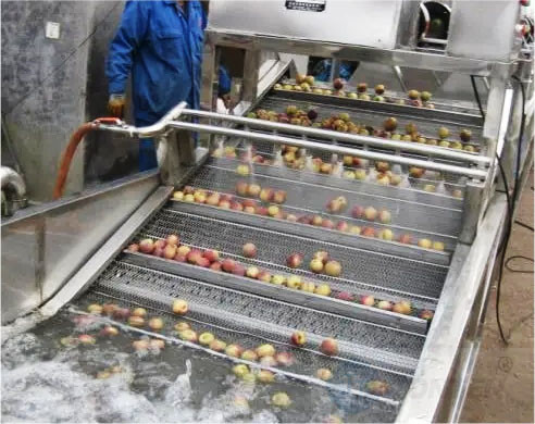 Машина для мытья банановых и фруктовых продуктов 6кВ 380в