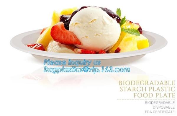 custom printed party plates disposable sugarcane bagasse plate Biodegradable Bamboo disposable paper plates bagease pack