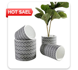 Durable Ceramic Cat Feeding Bowls , Cute Pet Bowl Multifunctional