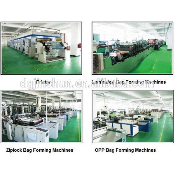 Cartoon Animals Zebra Printed Disposable Plastic Placemat