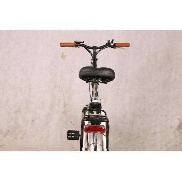 36V 250W Motorized Folding Bike TUV EN15194