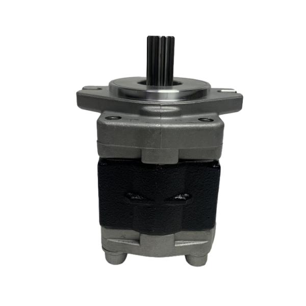 Steel Material Gear Pump with Long Working Life for CPC(D)20-35 Forklift Hydraulic System